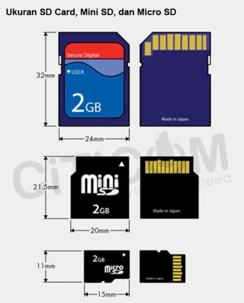 Mengenali Jenis-jenis SD Card, Mini SD, Micro SD, dan SDHC ...