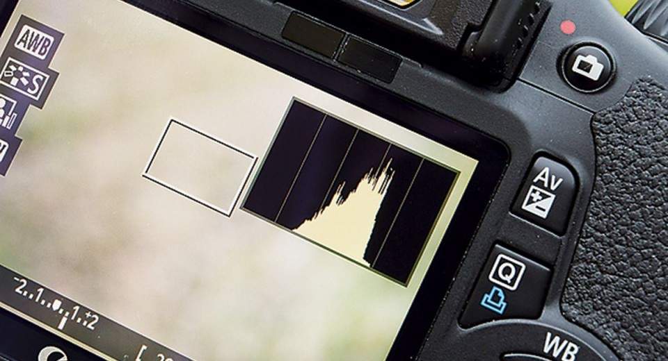 Apa itu Histogram dan Bagaimana Cara Membacanya di Kamera DSLR Pricebook
