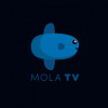Cara Mudah Berlangganan Mola TV, Bisa Live Streaming Liga Eropa