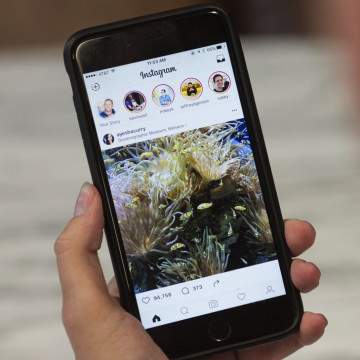 Instagram Kini Bisa Tambah Animasi GIF di Stories