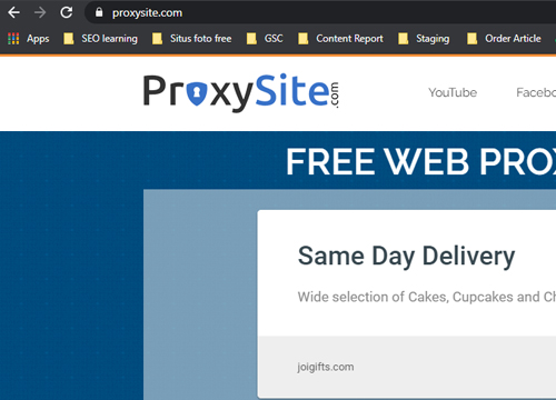 Buka browser (kami menggunakan Chrome), lalu buka situs ProxySite