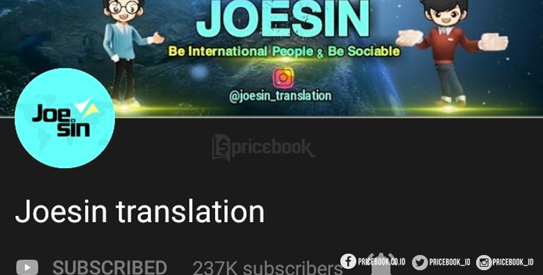 joesin translation