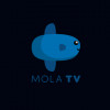 Cara Berlangganan Mola TV Lengkap dengan Harga Paketnya