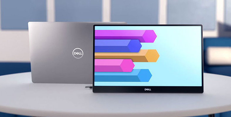 dell monitor portable