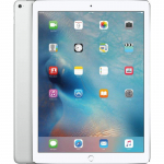 Apple
                                    iPad Pro 12.9 in. Wi-Fi 256GB