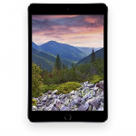 Apple iPad Pro 10.5 in. Wi-Fi 256GB