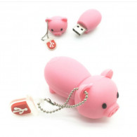 Fancy Cute Piggy 2GB