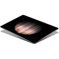 Apple iPad Pro 12.9 in. Wi-Fi 128GB
