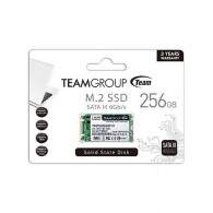 Team TM4PS4256GMC101 256GB SSD