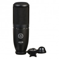 AKG P120