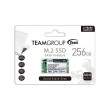 Team TM4PS4256GMC101 256GB SSD