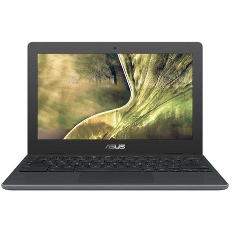 ASUS Chromebook C204MA-BU1431